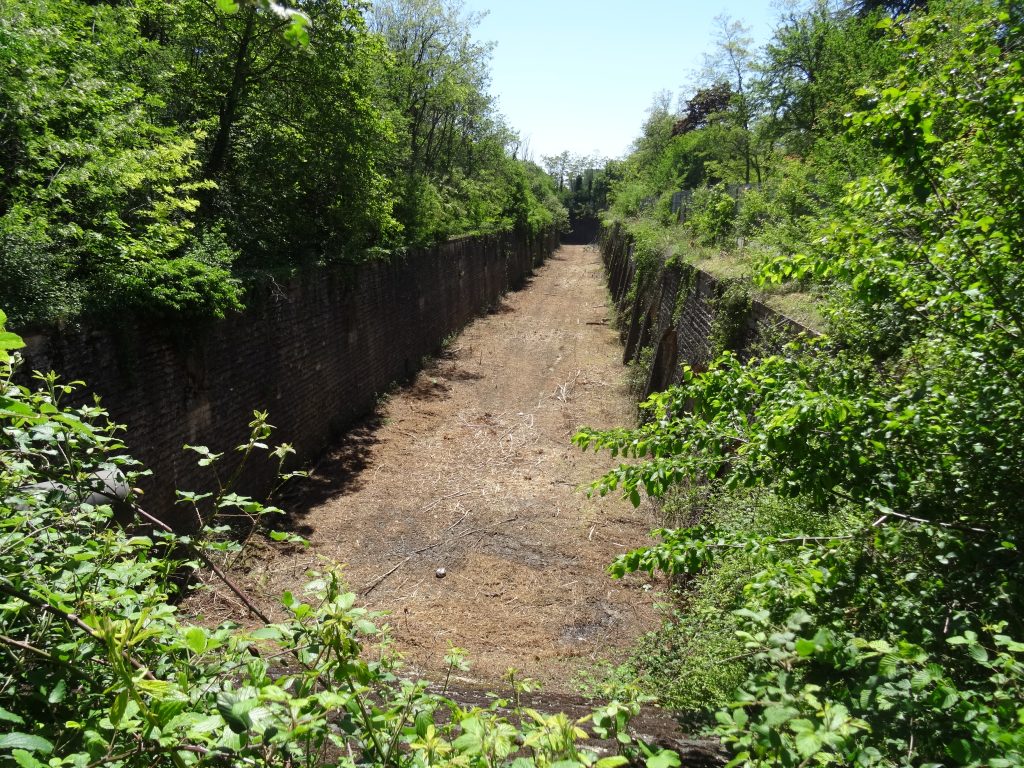 Fossé est du Fort de Bron coté "Veolia" (mai 2019) : les fossés ont été nettoyés.