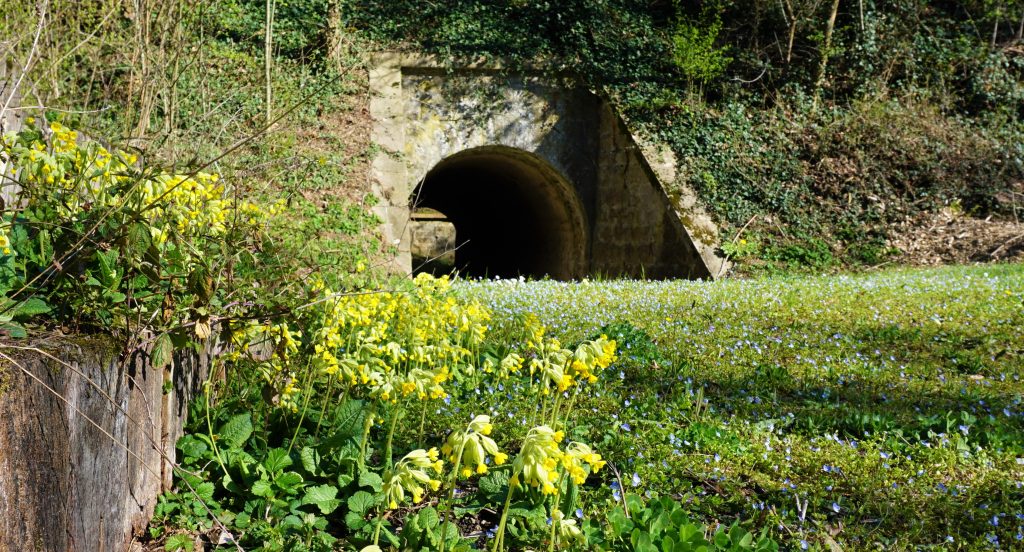 Prairie de la crête basse du Fort de Bron