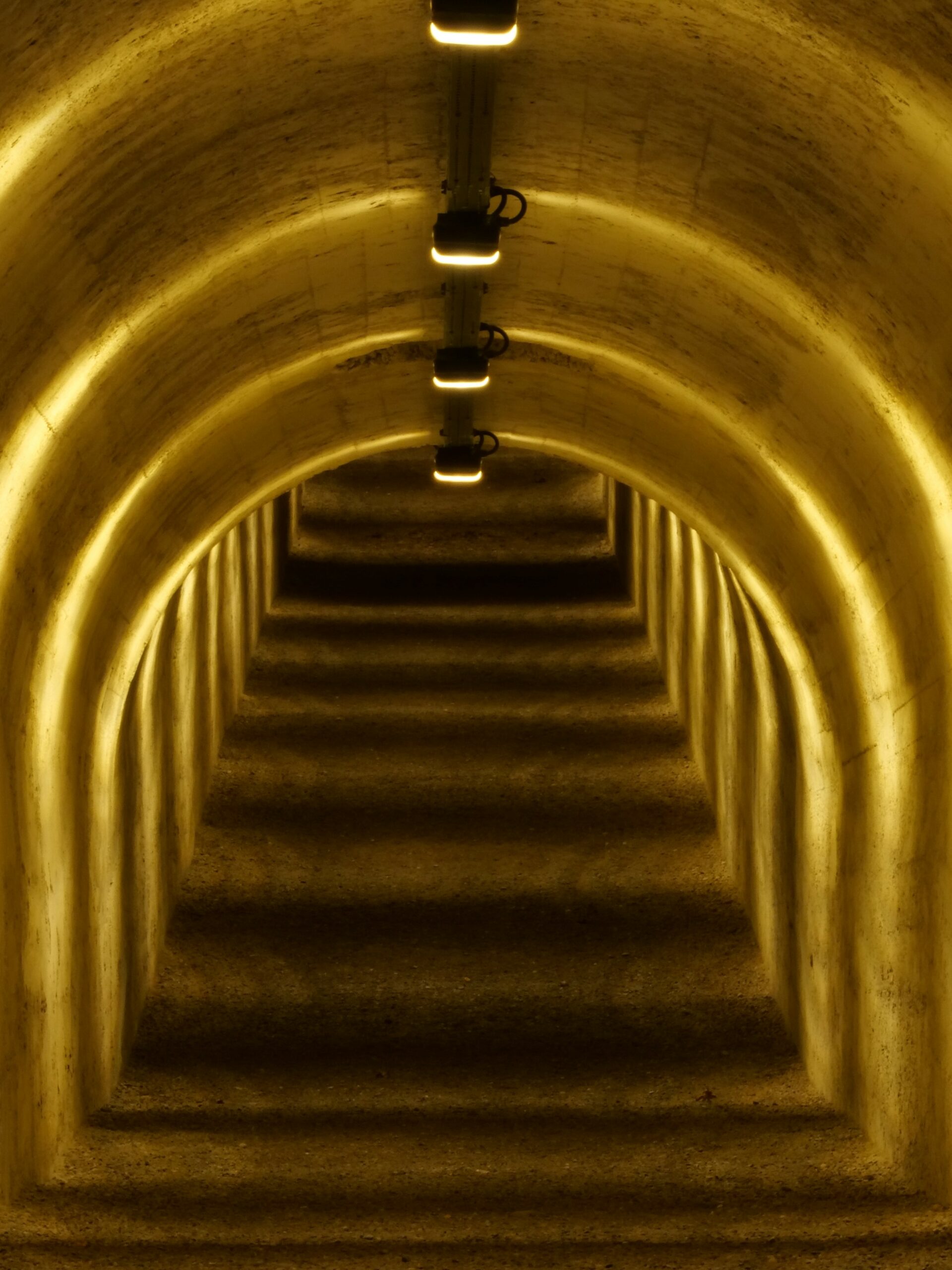 P1647423